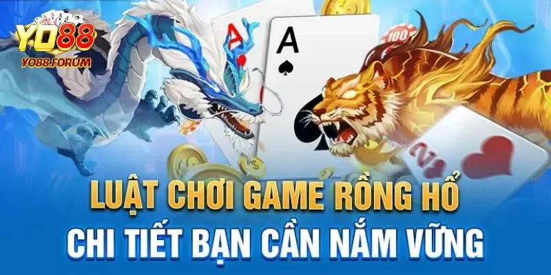 Hướng dẫn cách chơi rồng hổ dễ hiểu cho newbie