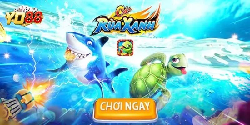 Tổng quan về săn cá rùa xanh