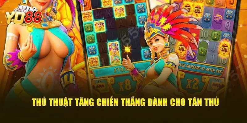 Chiến thuật chơi kho báu Aztec nào giúp bạn may mắn