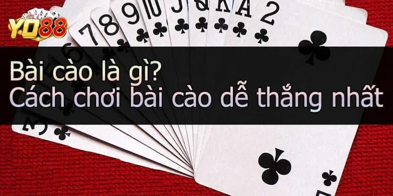 Hướng Dẫn Chi Tiết Cách Chơi Bài Cào Tại Cổng Game Yo88