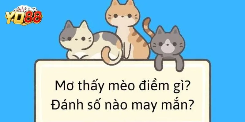 Mơ Thấy Mèo - Giải Mã Chiêm Bao Tìm Số May Mắn Tại Yo88