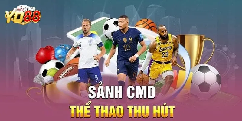 Những sảnh cược hấp dẫn tại CMD sport